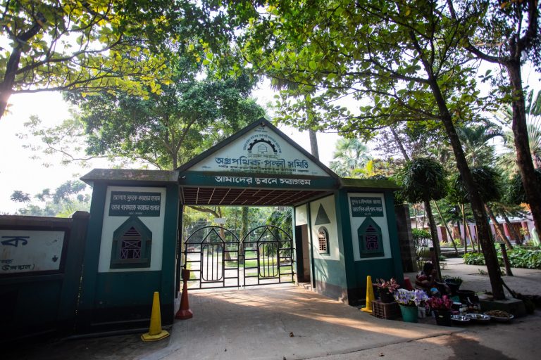জিন্দা পার্ক: প্রকৃতির মাঝে এক টুকরো শান্তি